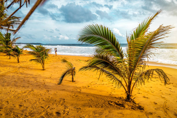 Beautiful aerial view of tropical beach with palm trees and turquoise ocean waves. Perfect for travel promo, vacation concept, high quality background or summer advertisement design.