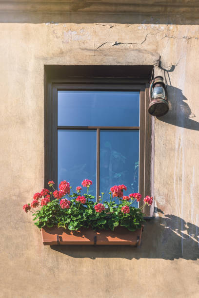 Old Window Decorated With Flower Pot Detail On A Yellow Cracked Wall And Old Oil Lamp