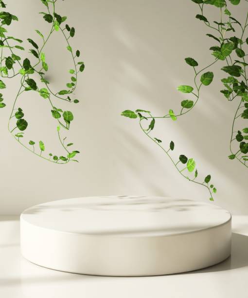 istock Modern, minimal beige geometric round cylinder podium, green creeper plant tree in sunlight, shadow on wall 2155404112