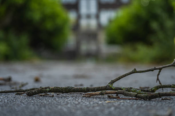 A floor as a motif and an old building with trees as a background.