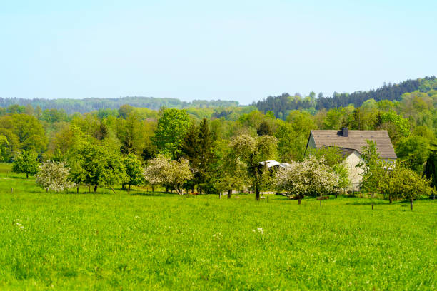 The National Park  Hunsrueck-Hochwald, is a national park located in the Hunsrueck region of Rhineland-Palatinate and the Saarland in Germany