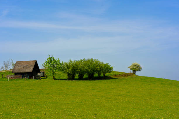 Lonely house on a green meadow with trees and blue sky