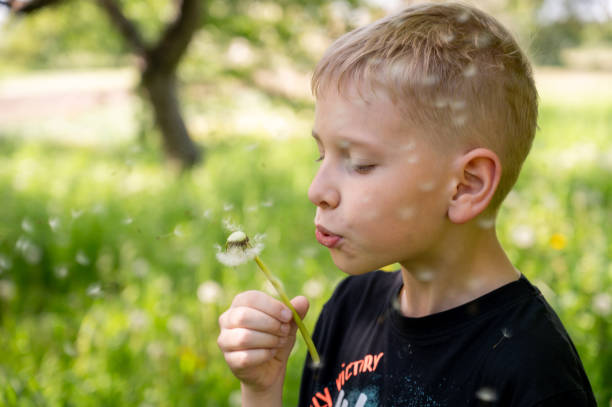istock A handsome blond boy blows a dandelion in the park. Selective focus. 2155408766