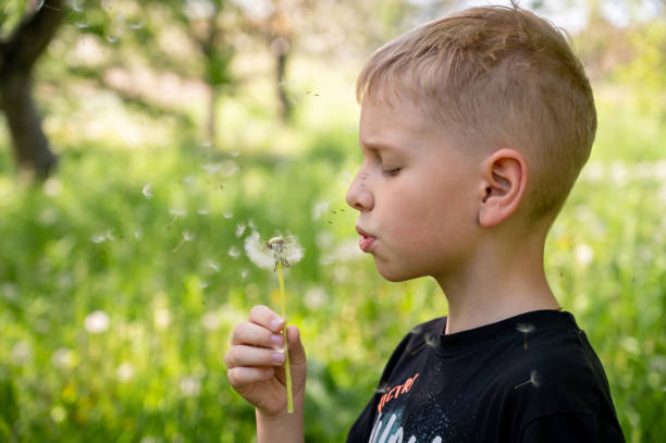 istock A handsome blond boy blows a dandelion in the park. Selective focus. 2155408768