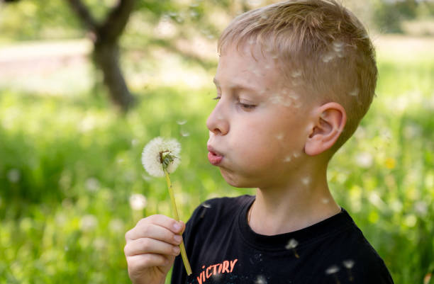 istock A handsome blond boy blows a dandelion in the park. Selective focus. 2155408773