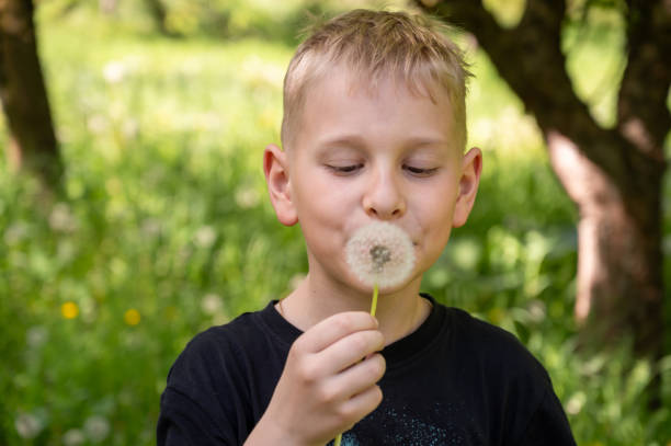 A handsome blond boy blows a dandelion in the park. Selective focus.