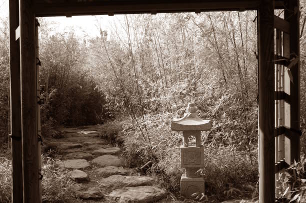 istock The Japanese gate of Tori. 2155411662