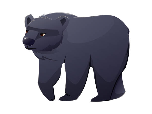 istock Cute black bear baribal on four legs. Vector isolated cartoon illustration of wild forest animal. 2155411791