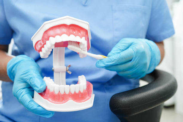 istock Doctor holding teeth denture in hand for dentist studying about dentistry. 2155418720