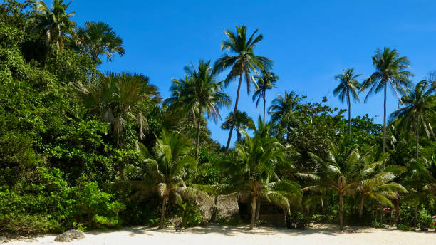 Cuba - Varadero- beach
