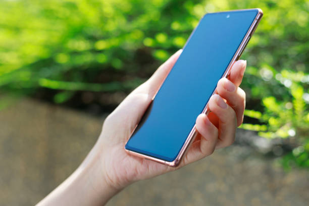 Cropped image of a woman's hands using a mobile phone in a garden.