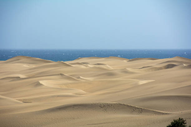The dunes of Maspalomas on Gran Canaria in Spain, with sea and blue sky. The huge sand dunes resemble a small desert and are a nature reserve.