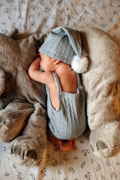 istock Cute little baby boy with hat sleeping on stuffed toy elephant 2155424007