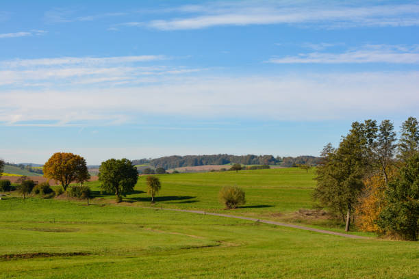 istock Landscape with meadow , blue sky and  trees 2155424035