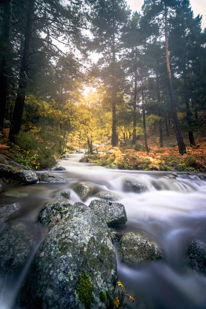 istock The Guadarrama mountain range 2155433848