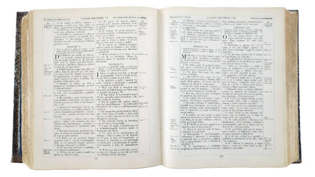 Top view open new testament bible isolated photo