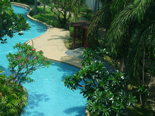 View from a deck with white railing down to a pool with two outdoor lounge chairs and flower pots with purple and yellow flowers on the railing in the foreground