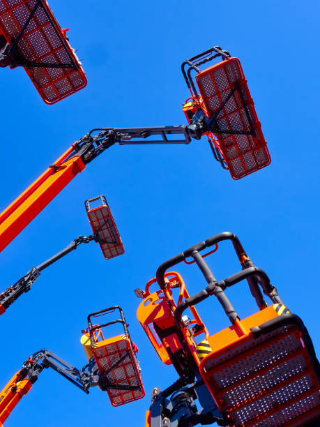 istock Big group of articulating cranes 2155436290