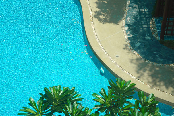 Young Hispanic woman and mid adult mixed age man preparing to enjoy light breakfast outdoors in backyard with pool in foreground.