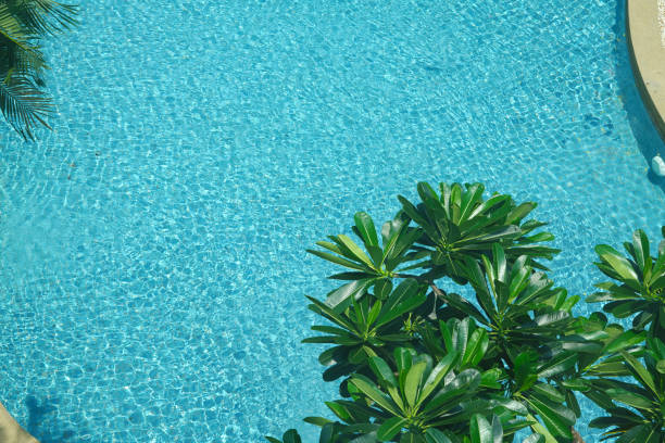 swimming pool in resort, top view