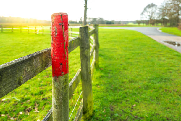 Shallow focus of a red painted post seen on a paddock fence during a sunny evening in Britain.