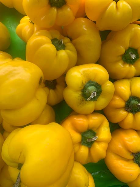 istock The yellow capsicum vegetable view in the basket 2155440451
