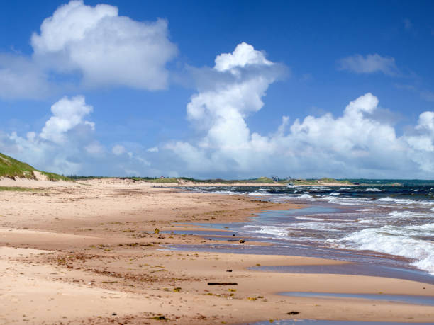 istock Greenwich Beach, Prince Edward Island National Park 2155449159