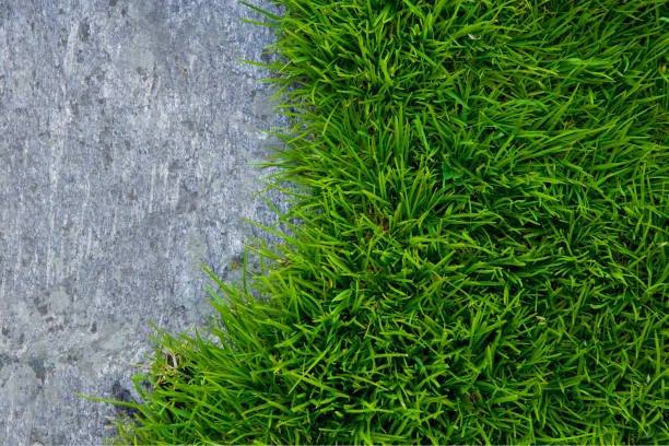stone slab and a green meadow