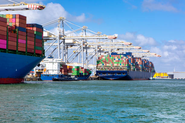 Large gantry cranes and container ships - port of Rotterdam - Maasvlakte.