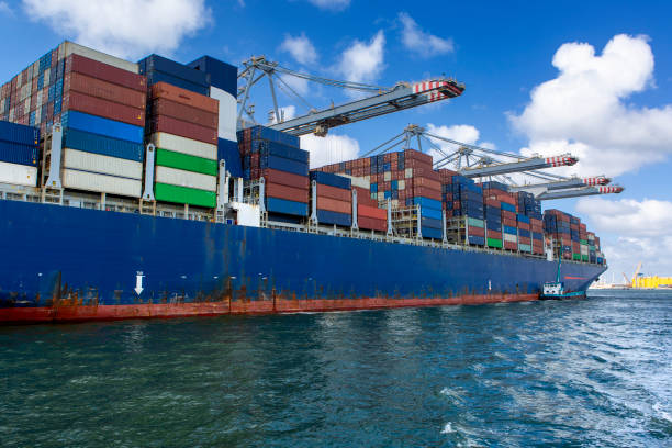 istock Container ships and large gantry cranes at Maasvlakte, Rotterdam 2155450236