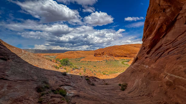 istock Arizona Desert landscapes 2155450798
