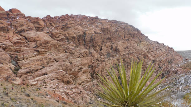 istock Snow Day on Red Rock Canyon 2155453839