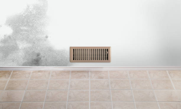 heating/cooling vent register in a moldy room with tile floors