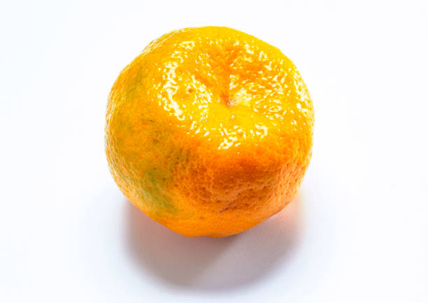 pieces, peel, bud,gossip seasonal fruit from Brazil