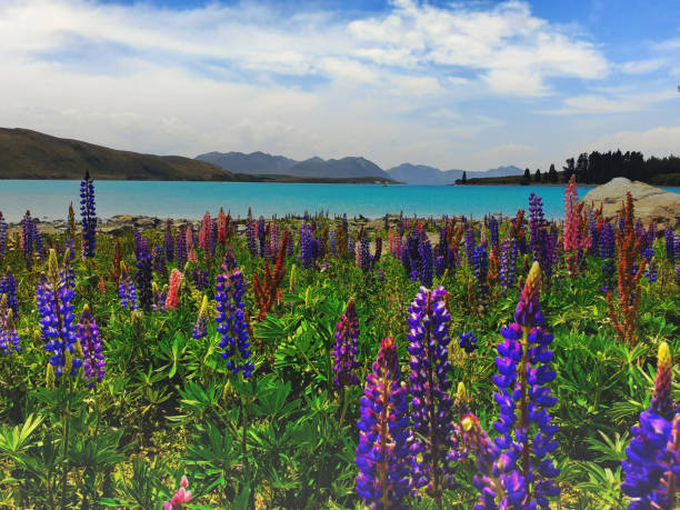 istock Lake with mountain range in the distance 2155461736