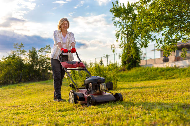 istock Woman working in the garden 2155464337