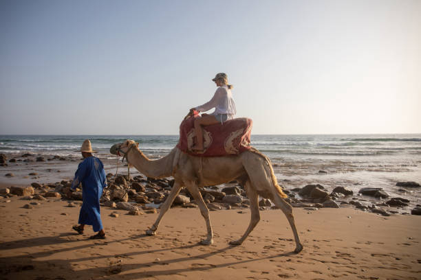 istock Young woman rides camel with guide 2155465807