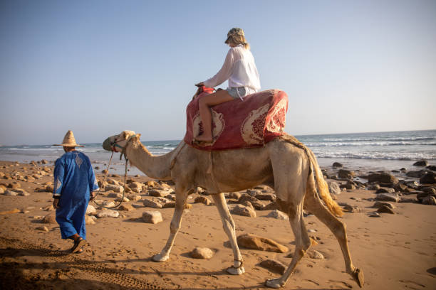 istock Young woman rides camel with guide 2155465813