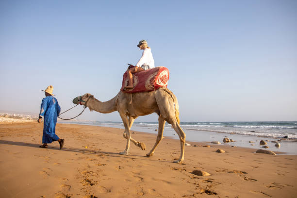 istock Young woman rides camel with guide 2155465881