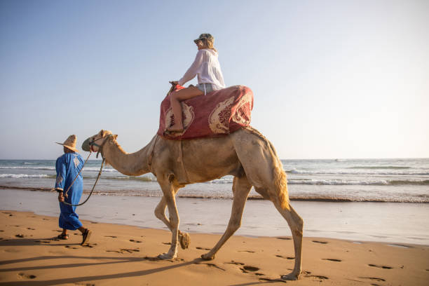 istock Young woman rides camel with guide 2155465915