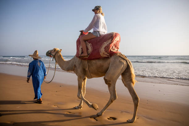 istock Young woman rides camel with guide 2155465980