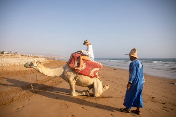 istock Young woman rides camel with guide 2155465981