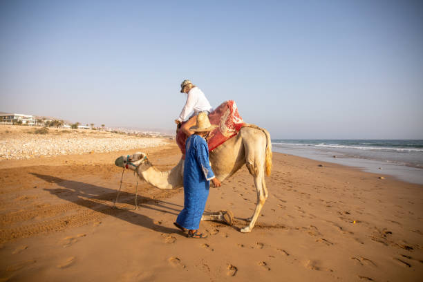 istock Young woman rides camel with guide 2155465986
