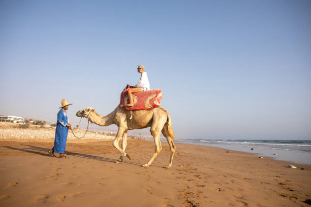 istock Young woman rides camel with guide 2155465990