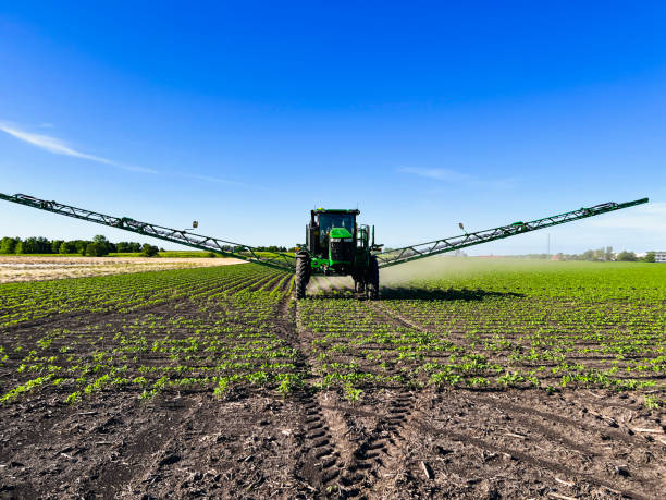 istock Large Agricultural Equipment Spraying Soybean Field 2155473067