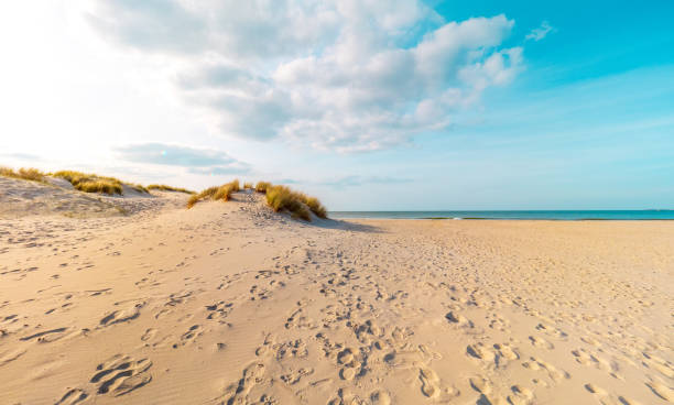 istock Coastline of the nordic sea 2155476254