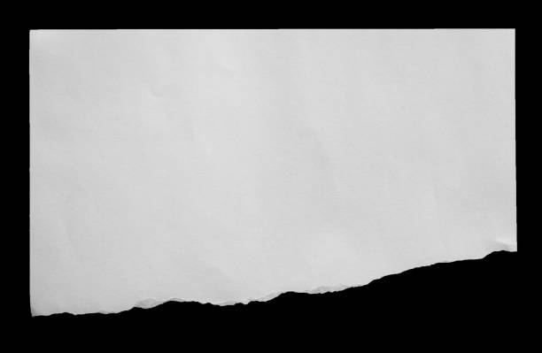 istock White ripped paper torn edges strips isolated on black background 2155479292