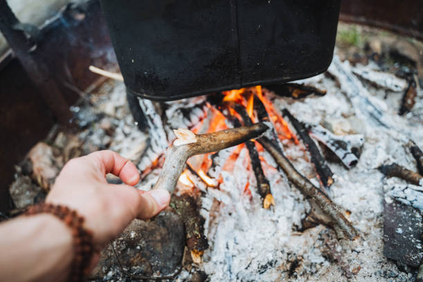 istock a person is holding a stick over a fire 2155484666
