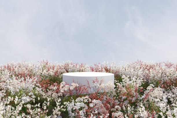 istock 3d render platform and Natural springtime background, White stone podium on colorful flowers and grass field for product stand display, advertising, mockup or etc 2155486123