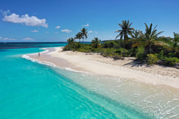 istock Aerial Woman Shoal Bay Beach Anguilla 2155492007